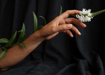 Doamna…continuare…