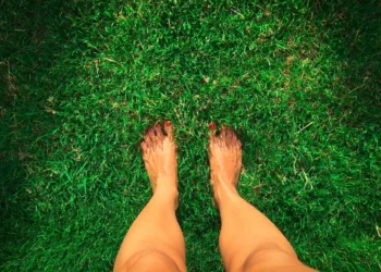 Pasiune la firul ierbii