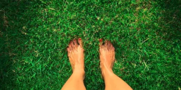 Pasiune la firul ierbii